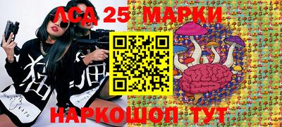 spice Гагарин