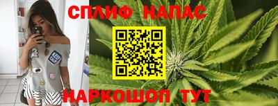 spice Гагарин